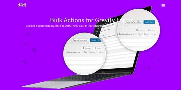 Gravity Forms Bulk Actions Pro